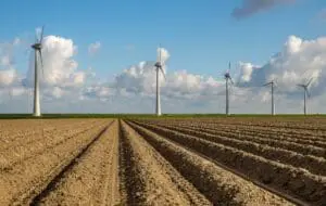 Un proiect eolian de 186 MW în Vaslui a primit acordul de mediu