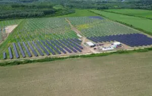 WALDEVAR Energy dezvoltă peste 300 MW în proiecte fotovoltaice, cu șase șantiere active în România și Germania