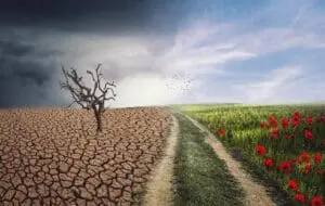 Bogdan Antonescu, climatolog: Fenomenele meteo extreme care vor deveni „noul normal” în România