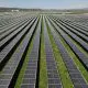 Eurowind Energy România a inaugurat Parcul Fotovoltaic Teiuș