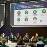 BID, motor al tranziției energetice: investiții strategice pentru o economie românească sustenabilă
