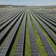 Eurowind investește 174,8 milioane de euro într-un nou parc fotovoltaic