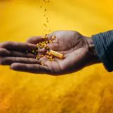 PARTEX , angajament pentru un viitor mai sustenabil, produse ecologice