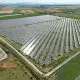 Investițiile în parcuri fotovoltaice devin o prioritate pentru distribuitorii de energie