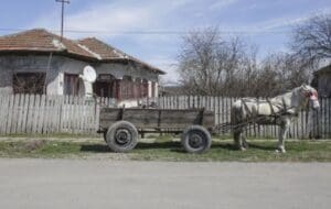 Tranziția energetică va crește gradul de sărăcie în mediul rural